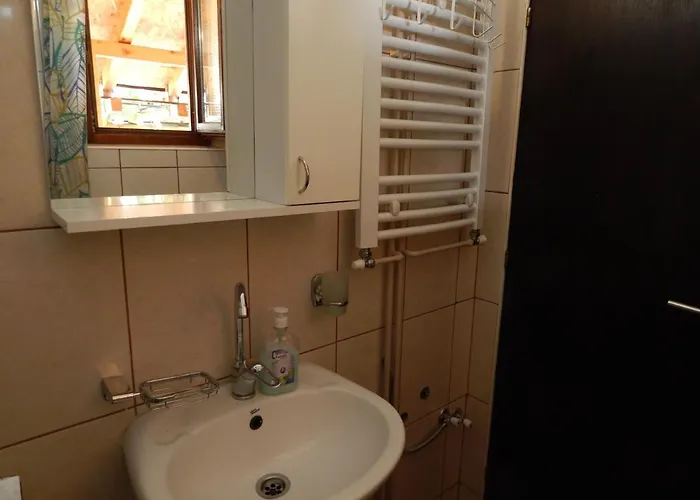 Jelica Free Parking *